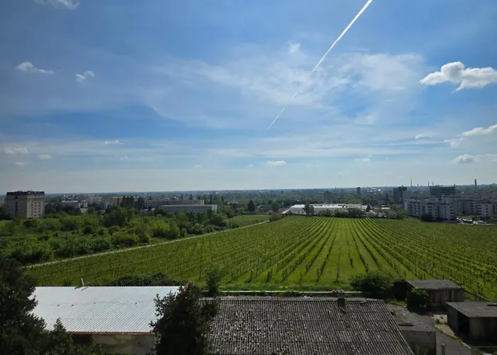 Majko With Free Parking